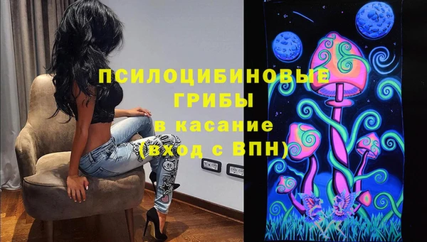 тгк Абаза