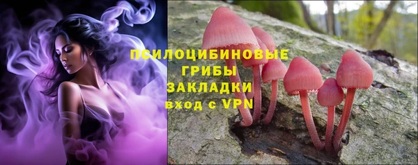 гидропоника Абдулино