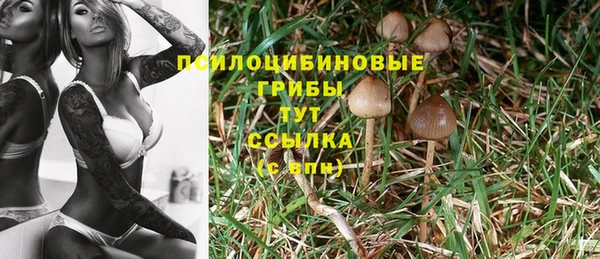 а пвп мука Ветлуга